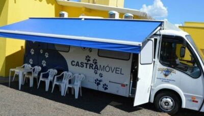 Imagem da notícia Castramóvel oferece serviço gratuito de castração para cães e gatos em Costa Rica